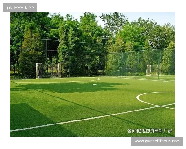 德国杯八强球场强制安装温控系统确保草皮质量提升